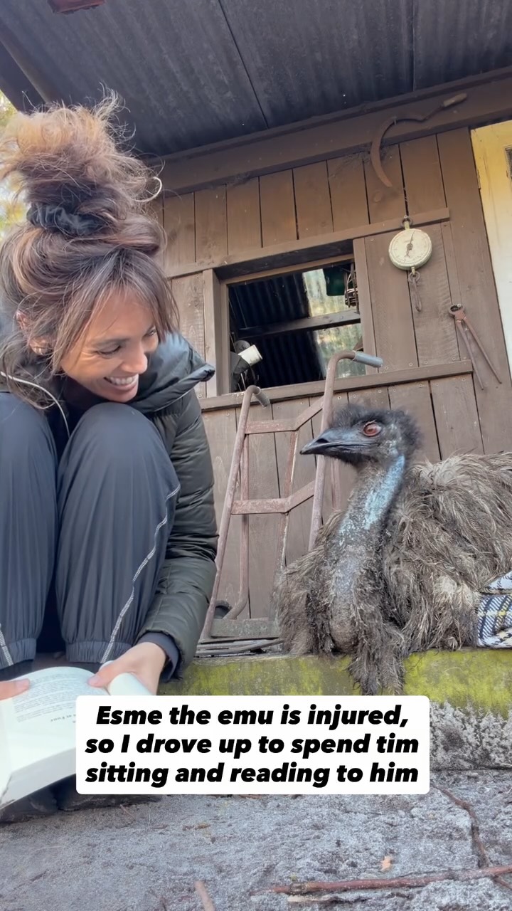 The absolute legend, Ann-Marie from @panoramagardenestate is mama to so many beautiful animals on her stunning property, and last Friday I went up to visit her and Esme the emu, to sit and read whilst he’s recovering from a very sore leg. 

There is something so very special, sitting with and being in the presence of an animal, earning their trust by being connected to your own heart and true nature. You get to see their true nature, their individual personalities, their right, just as much as ours, to be here and living happily. 

Mahatma Ghandi said, ‘the greatness of a nation and its moral compass can be judged by the way its animals are treated.’

We have a long way to go with how we see and treat all species on this planet. It’s their home too. Places like this warm my heart knowing that these beautiful creatures are rescued, homed and know love and kindness.

#katjohn #animalovers #bekindtoanimals #animalsofinstagram